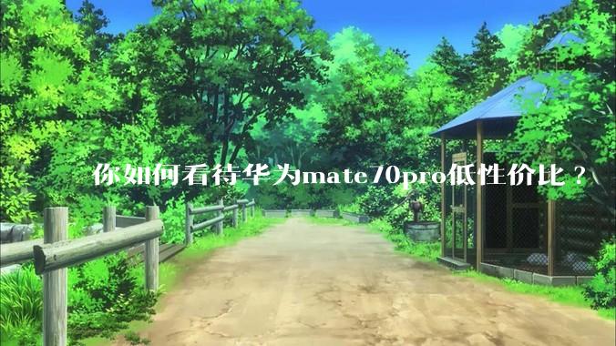 你如何看待华为mate70pro低性价比?