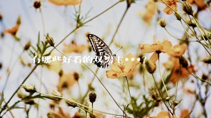有哪些好看的双男主***？