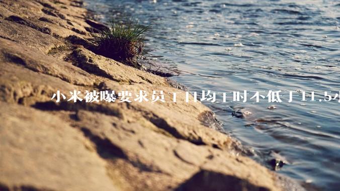 小米被曝要求员工日均工时不低于11.5小时？