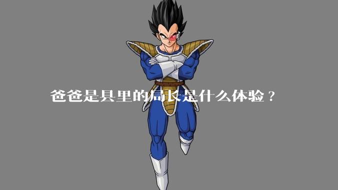 爸爸是县里的局长是什么体验?