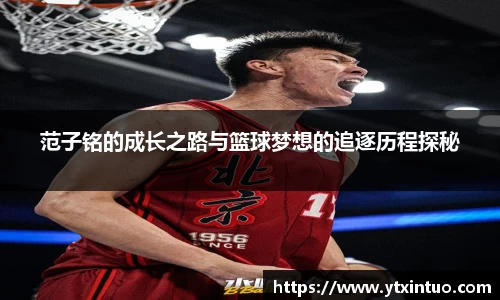 VSport胜利因您更精彩