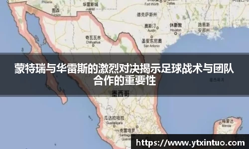 VSport胜利因您更精彩